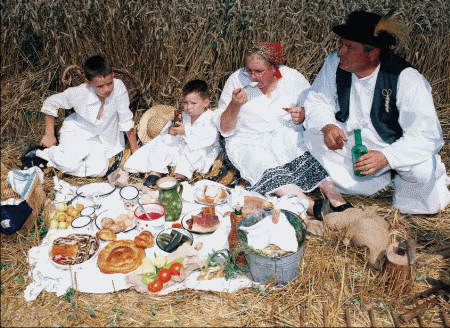 Pšenica za bioetanol