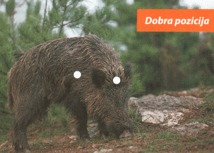 Dobra pozicija