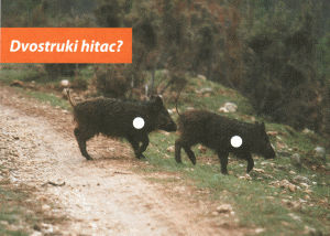 Dvostruki hitac?