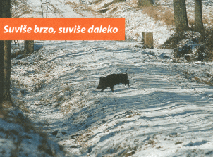 Suviše brzo, suviše daleko