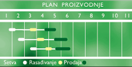 Plan proizvodnje</P>