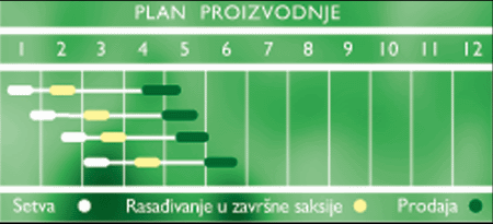 Plan proizvodnje