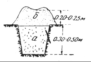 Sl.10 a