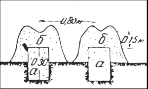 Sl.10 b