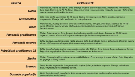 NAJZASTUPLJENIJE SORTE NA NJIVAMA SRBIJE