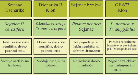 relativna veličina i glavne karakteristike