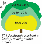 svijetlosne zone