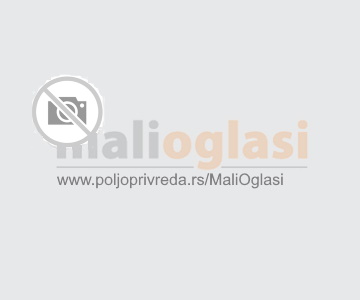 Nudimo sve vrste VOĆNIH SADNI