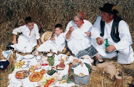 Pšenica za bioetanol