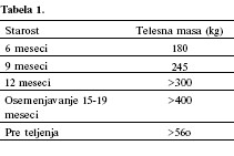 Gajenje priplodnih junica