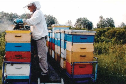 Održavanje radnog raspoloženja tokom intezivnih paša i kontrola rojenja u jednomatičnom društvu