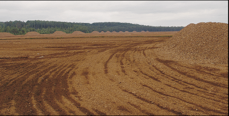 Tresetna polja Pinsdrupa u Letoniji