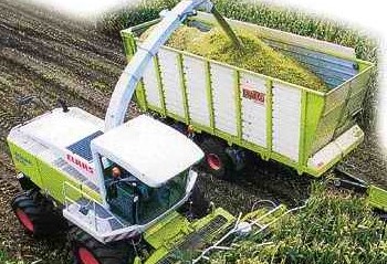 Siliranje kukuruza