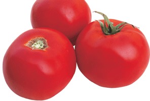 Savremena proizvodnja paradajza