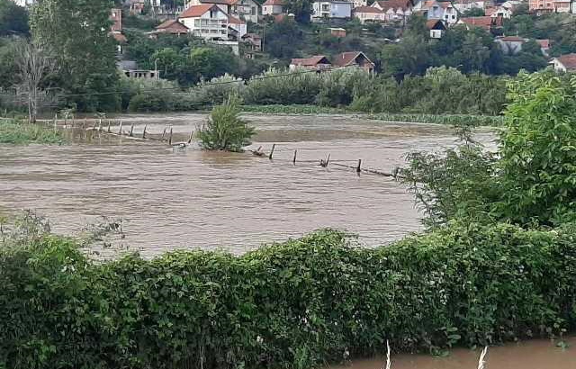 Nakon junskih poplava, šteta na poljoprivredi procenjena na oko 23 miliona dinara